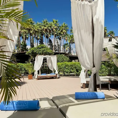 酒店 Barcelo Margaritas 4*